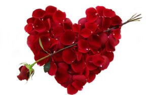 vday