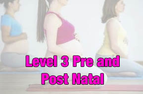 level 3 pre