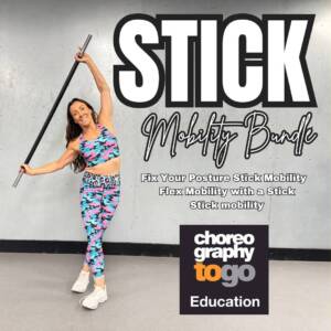 Stick Mobility Bundle